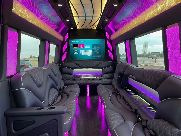Sprinter limo lounge with TV – Laporte limo service